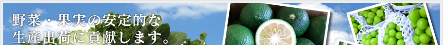 野菜・果実の安定的な生産出荷に貢献します。