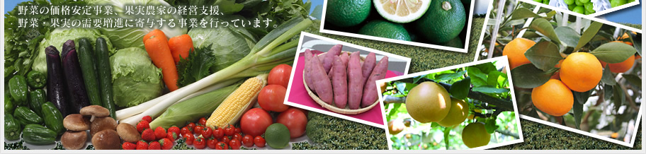 野菜の価格安定事業、果実農家の経営支援、野菜・果実の需要増進に寄与する事業を行っています。